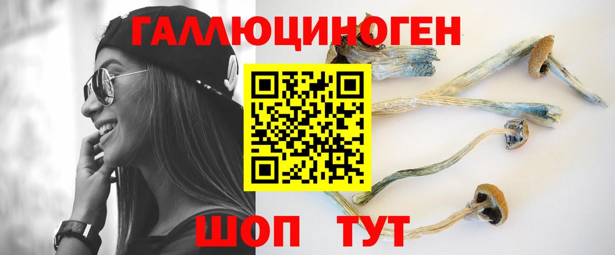 Галлюциногенные грибы прущие грибы  Вход с VPN  Химки 